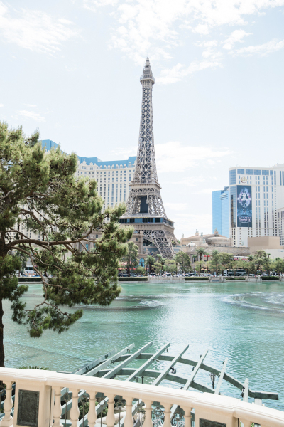 bellagio-weddings-08092023_bethspencer_cactuscollectiveweddings_115