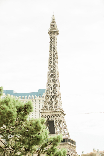 bellagio-weddings-10222022_yemisibruce_cactuscollectiveweddings_26