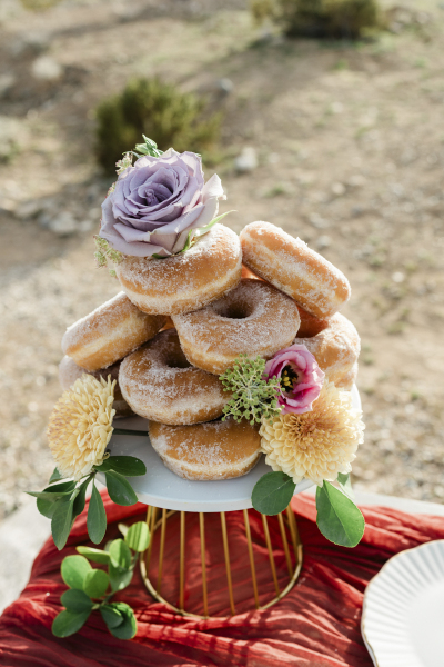 desert-love-weddings-02212024_desertlovepromoshoot_elizabeth_85