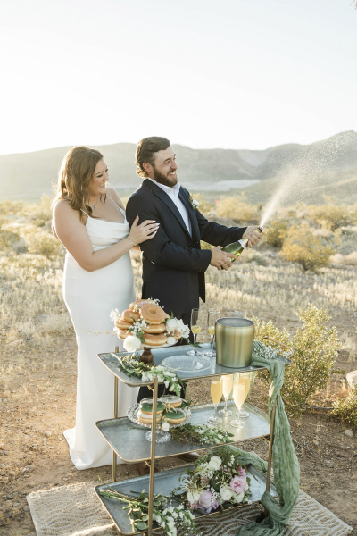 desert-love-weddings-061524_alyciatyler_cactuscollectiveweddings_41