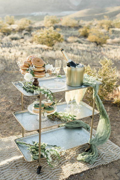 desert-love-weddings-061524_alyciatyler_cactuscollectiveweddings_98