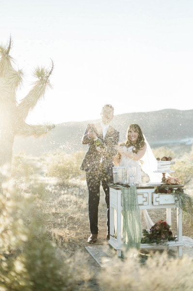 desert-love-weddings-062324_melissadomenico_cactuscollectiveweddings_71
