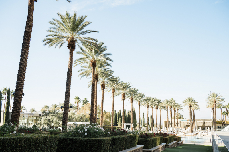 green-valley-ranch-casino-weddings-02022025_kristendave_cactuscollectiveweddings_35