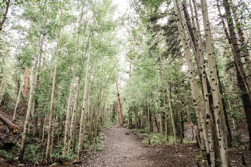 lee-canyon-ski-resort-weddings-08162023_leecanyonpromoshootliz_cactuscollectiveweddings_48