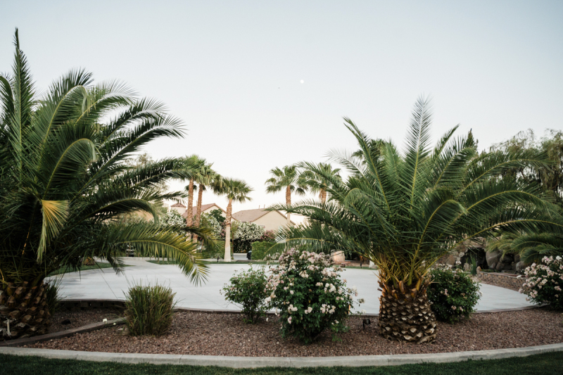 lotus-house-weddings-05092025_laurenjohn_cactuscollectiveweddings_583