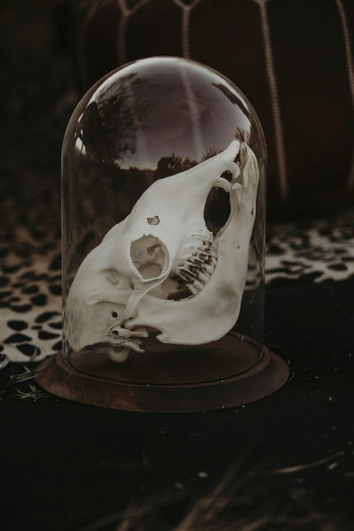 elopement-venues-las-vegas_36