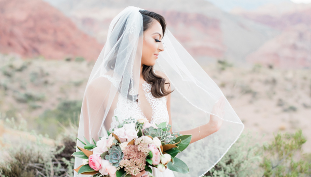 different types of veils feature